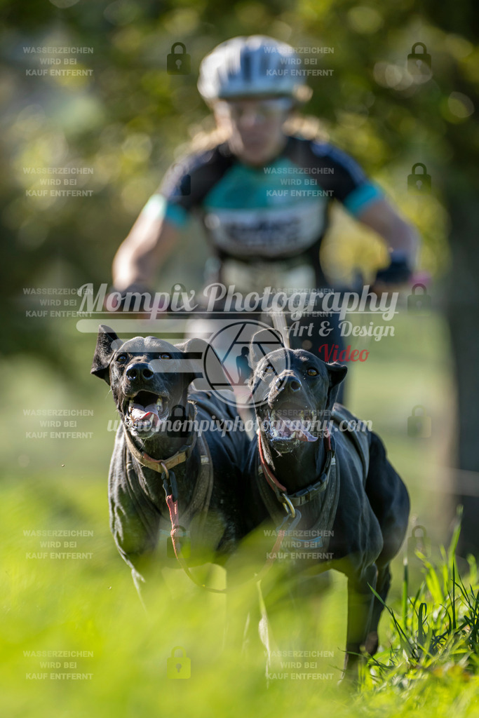 MompixPhotography_20TSB_E3_DS2-25 | PayLife