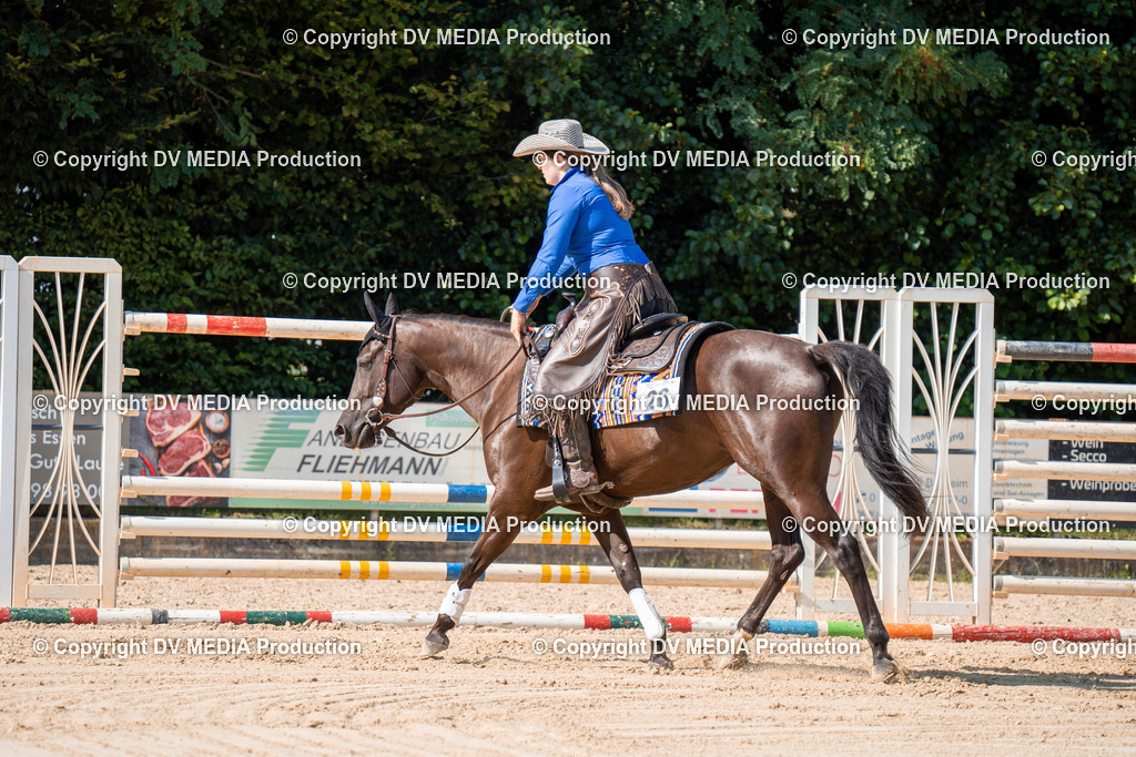 ZH100288 | dv-media-shop - Realisiert mit Pictrs.com