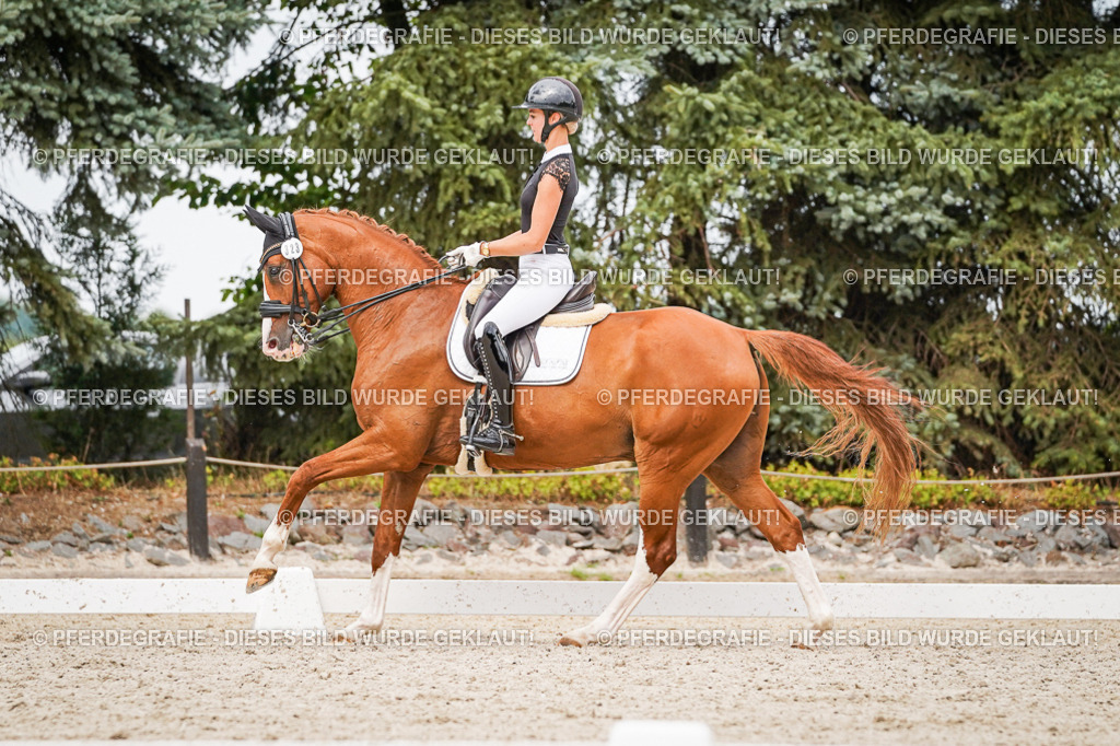 DSC07886 | Pferdegrafie