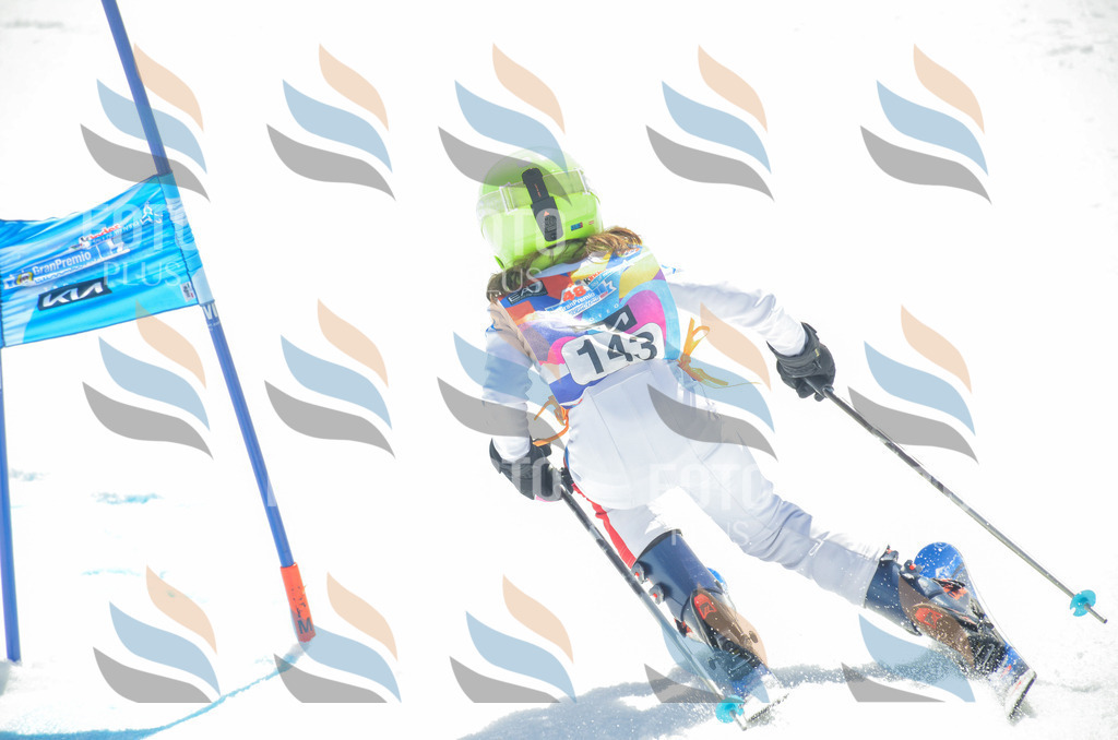 _ELE6251 | holidayphoto