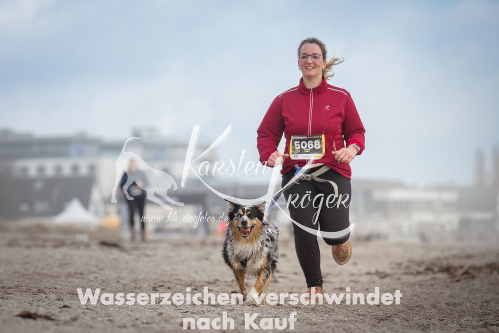 1212_ZZ94981 | kk-dogfotos