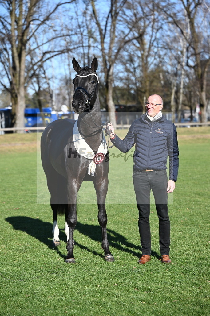 Kat.-Nr. 65 v. Springbank II VH_Reichert_2243422 | hf-fotografie - Realisiert mit Pictrs.com