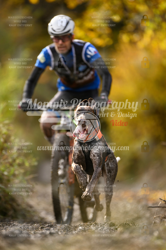 MompixPhotography_ICF_WC_2024_SA_Bike_-298 | PayLife