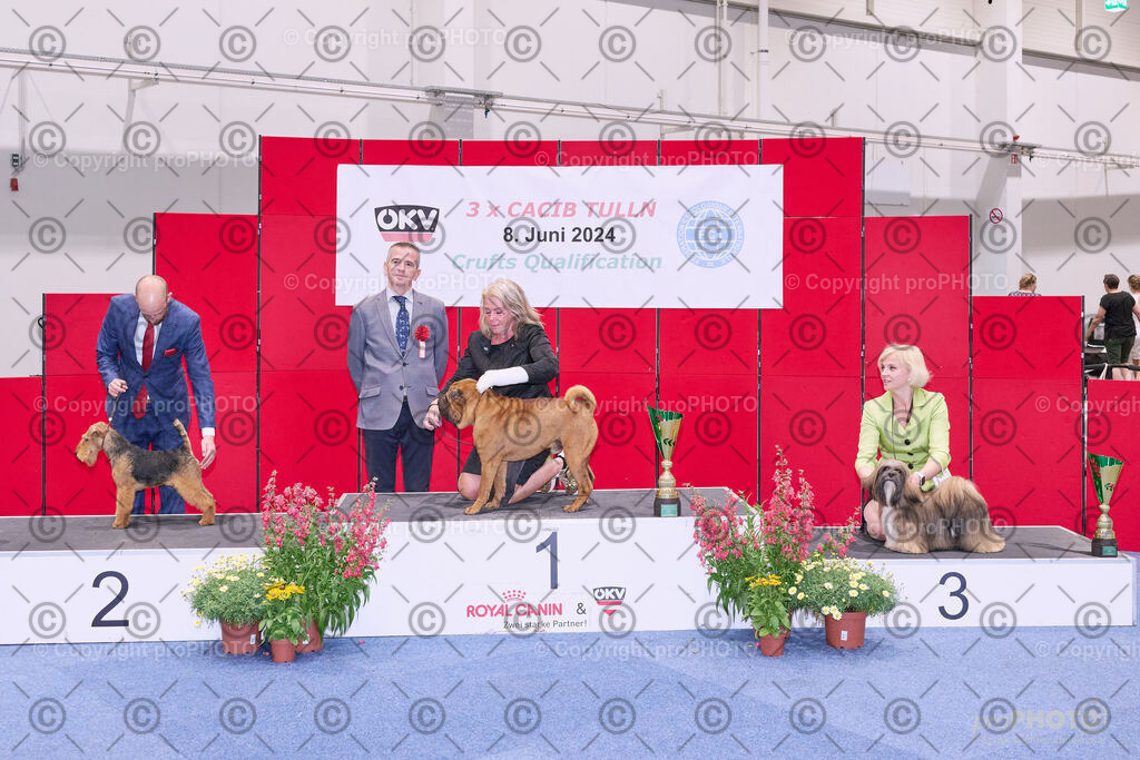 202406_ÖKV-IHA-Tulln24_NZ9_8772 | proPHOTO - Realisiert mit Pictrs.com