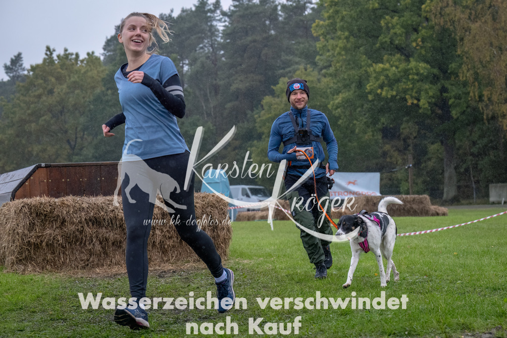 1302--4 | kk-dogfotos