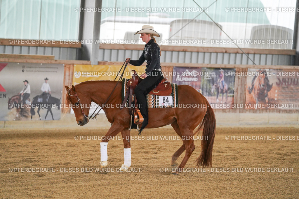 DSC08096 | Pferdegrafie