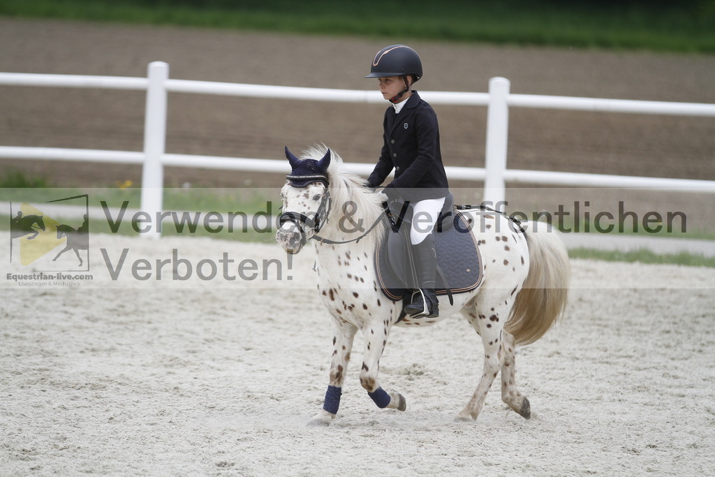 _MG_3760 | equestrian-live-com