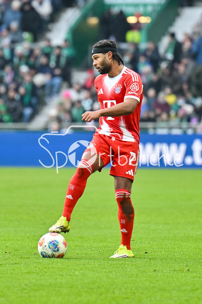SV Werder Bremen - FC Bayern München | BREMEN, GERMANY - 14. FEBRUARY: am Ball Serge GNABRY (FC Bayern Munich 7) / Einzelfoto / Freisteller während dem Bundesligamatch zwischen dem SV Werder Bremen und dem FC Bayern München am 22. Spieltag im Weserstadion / DFL REGULATIONS PROHIBIT ANY USE OF PHOTOGRAPHS AS IMAGE SEQUENCES AND/OR QUASI-VIDEO