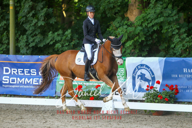 DKP42799 | Turniersportfotografie; Pferdefotografie; Dressurfotografie