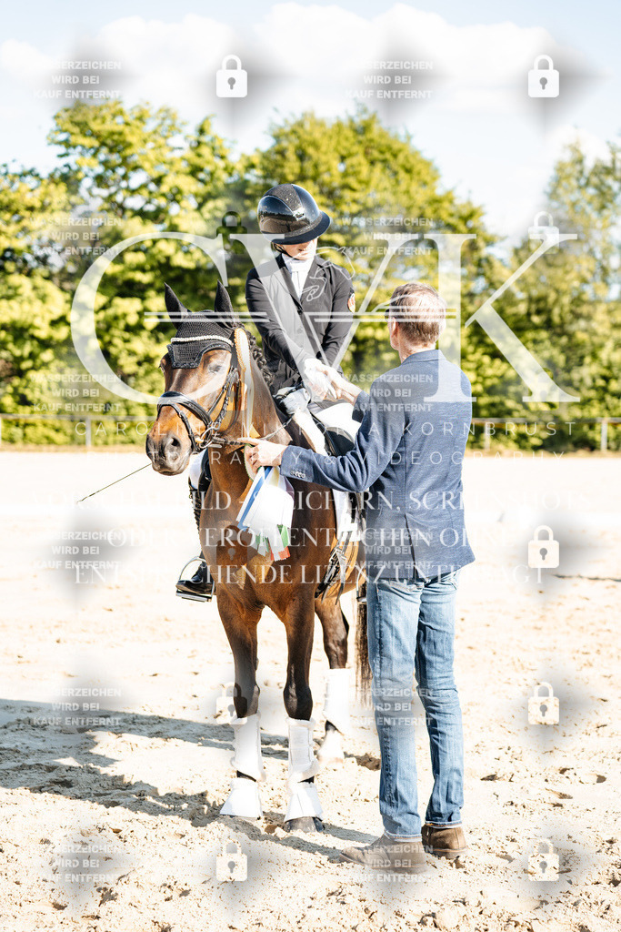 CK703573 | Turnierfotografie Pferdefotografie Trier Rheinland-Pfalz Pferdesport Reitsport Tierfotografie Sportfotografie Pferdevideo Pferdevideografie Equestrianvideography equestrianphotography  - Realisiert mit Pictrs.com