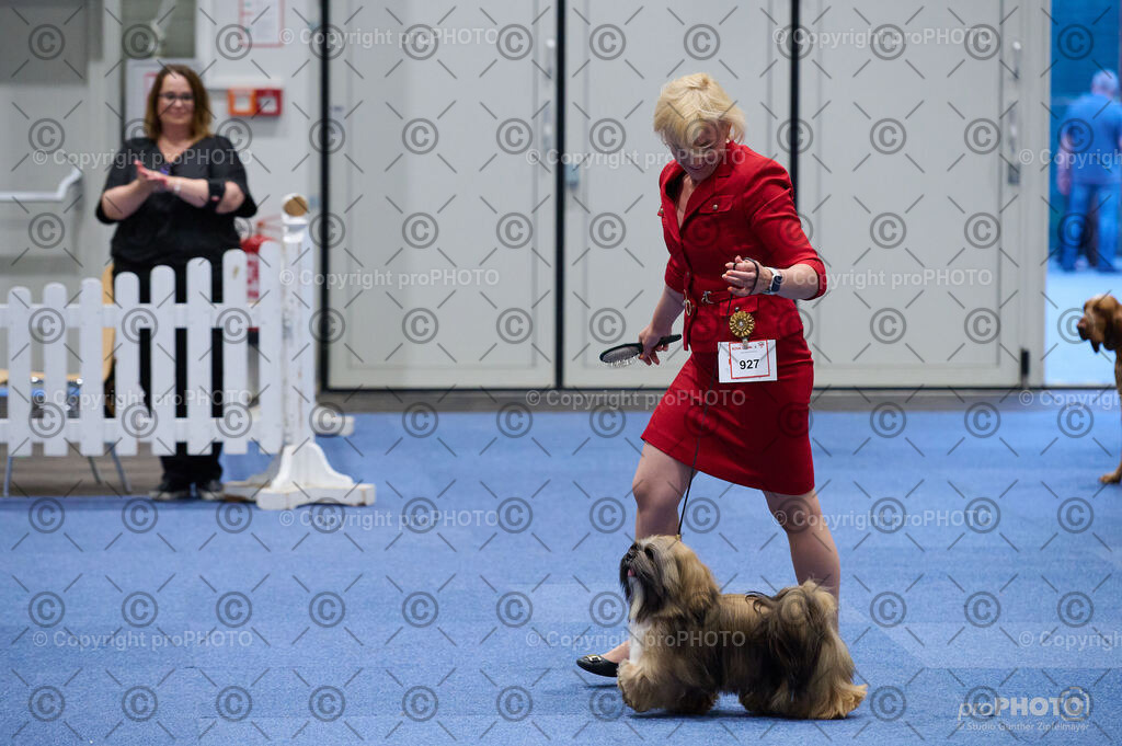 202406_ÖKV-IHA-Tulln24_DSC_3365 | proPHOTO - Realisiert mit Pictrs.com