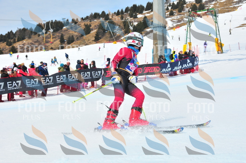 DSC_6056 | holidayphoto