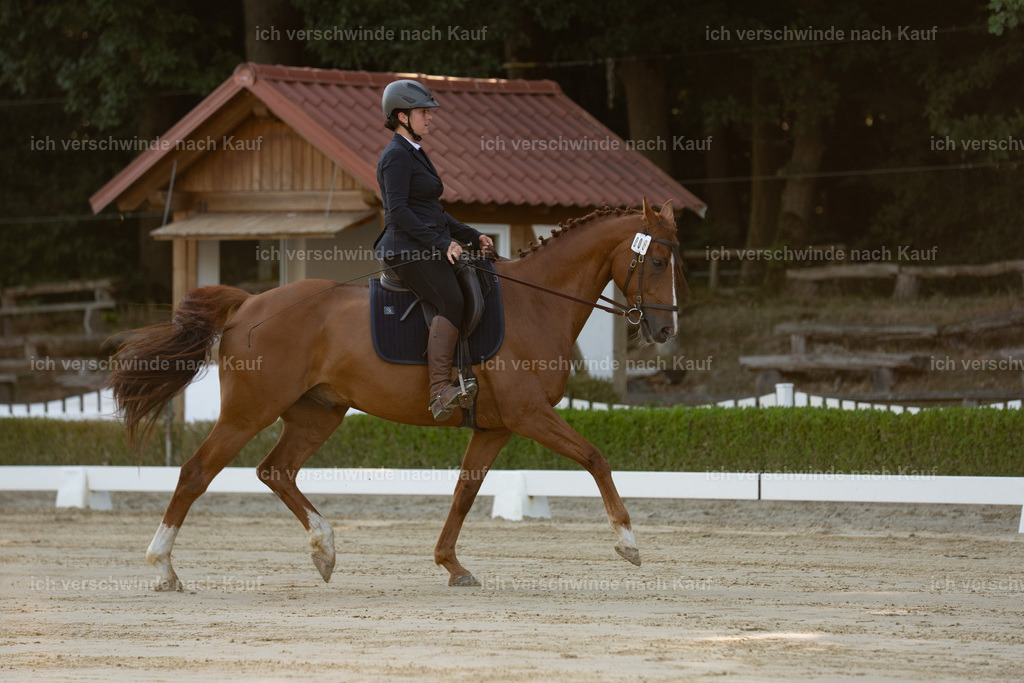 WA_DR_64_SinaFilmArt_IN00003 | working equitationturnier fotograf videograf stoibphotography marixx film working equitation deutschland reitsport turnierfotografie eventfotografie equestrian events