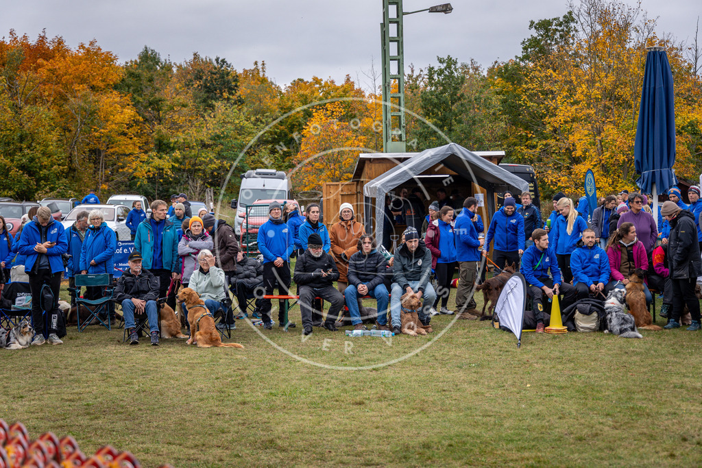 Pfotenfotografie_0L8A0187 | Hundefotografie, Tierfotograf, Pfotenfotografie, Fotoshooting Hund, Hunde Portrait, Hundesport, Hundeportraits, Heideshooting, Hunde, Sportfotograf, Hundefotograf, Turnierhundsport, THS,  - Realisiert mit Pictrs.com