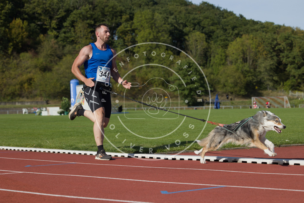 0L8A9750 | Hundefotografie, Tierfotograf, Pfotenfotografie, Fotoshooting Hund, Hunde Portrait, Hundesport, Hundeportraits, Heideshooting, Hunde, Sportfotograf, Hundefotograf, Turnierhundsport, THS,  - Realisiert mit Pictrs.com