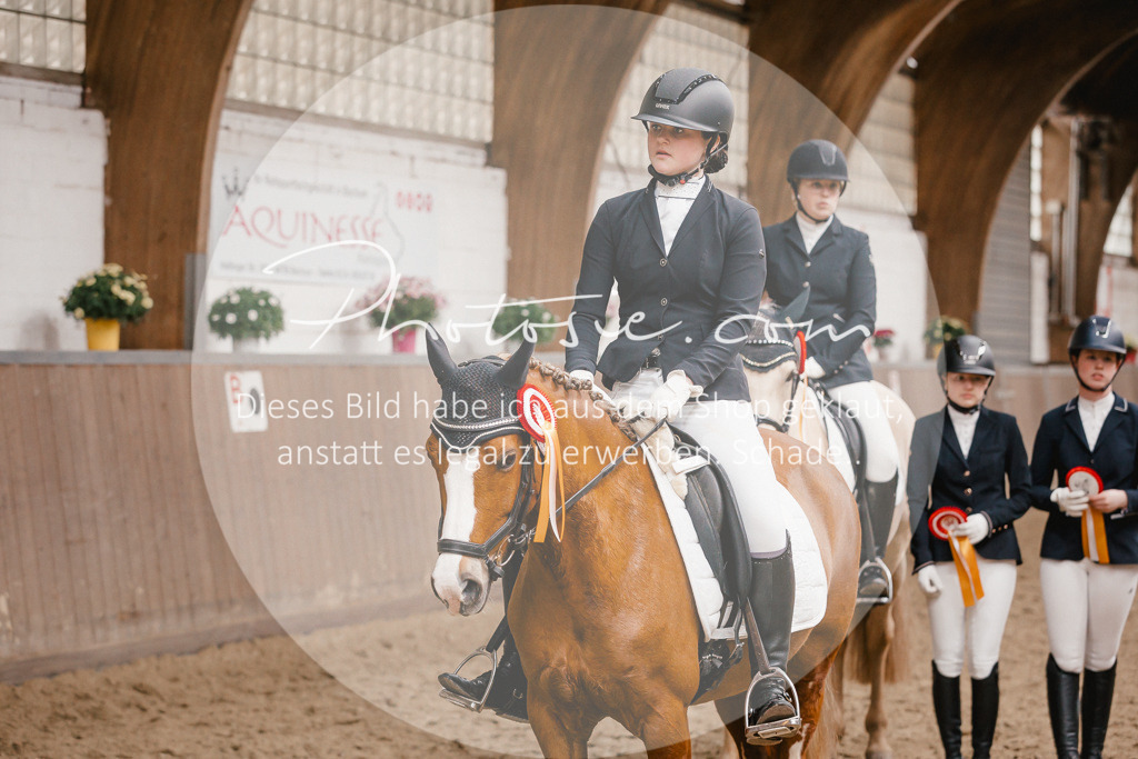 3I6A7990 | Stimmungsvolle Portraits und Reitsportfotografie im Ruhrgebiet und im Münsterland.

Pferdefotografie, Hundefotografie, Tierfotografie, Reportagen, Portraits von Tier und Mensch, Turnierfotografie in Bochum, Recklinghausen, Marl, Haltern am See, Dülmen.. - Realisiert mit Pictrs.com