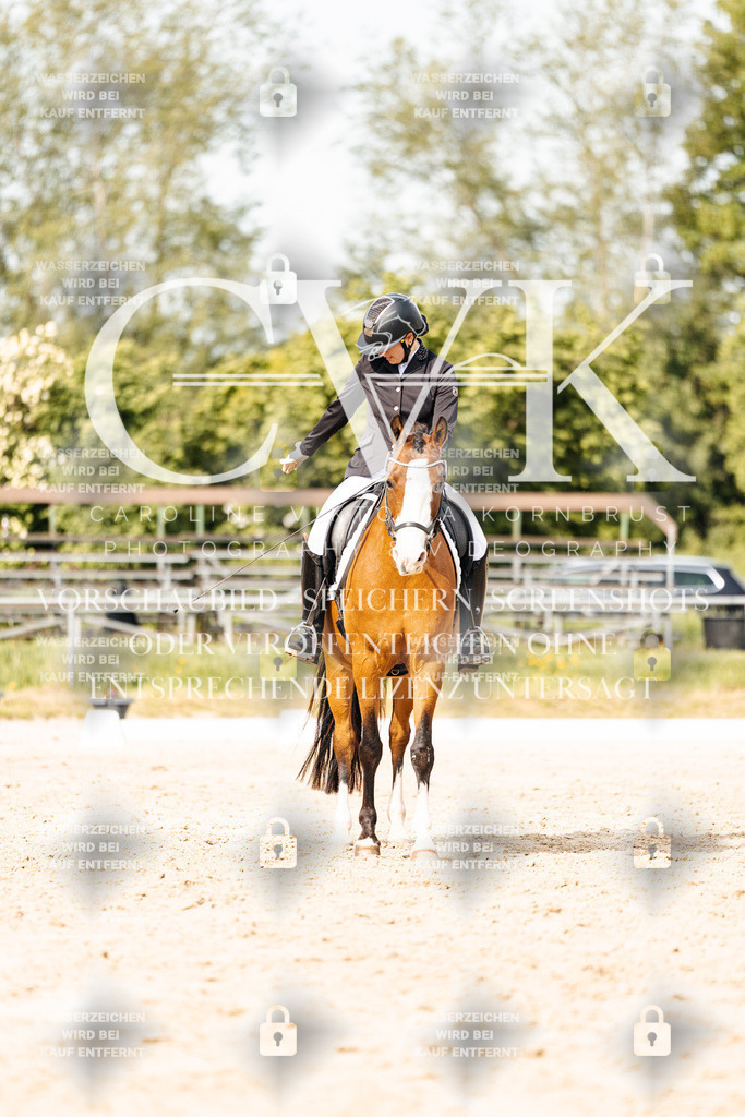 CK900591 | Turnierfotografie Pferdefotografie Trier Rheinland-Pfalz Pferdesport Reitsport Tierfotografie Sportfotografie Pferdevideo Pferdevideografie Equestrianvideography equestrianphotography  - Realisiert mit Pictrs.com