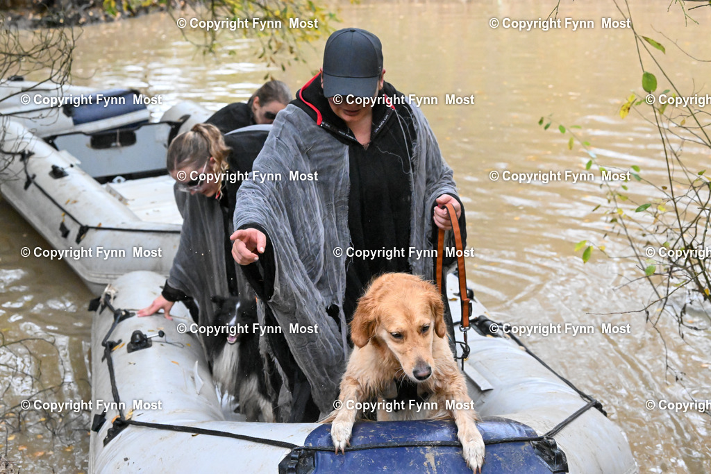 DSC_7175 | Hallo und herzlich Willkommen auf meiner Shop-Seite Fynn Most.

Ich wünsche Dir viel Spaß beim stöbern durch die Bilder, wenn Du Fragen hast oder Bilder vermisst, kannst du mir gerne eine Nachricht schreiben. - Realisiert mit Pictrs.com