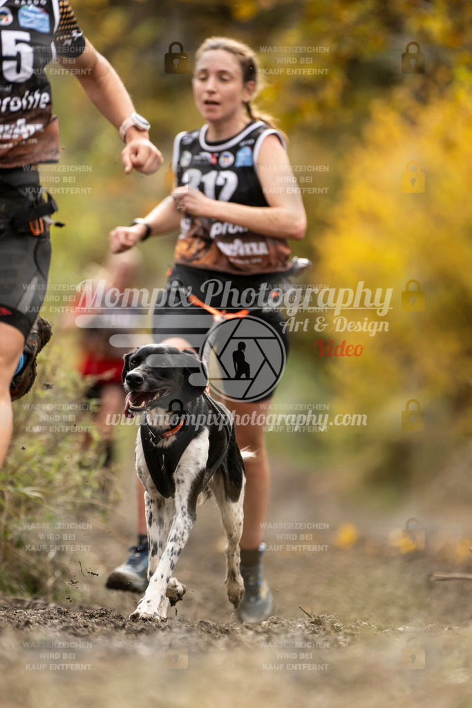 MompixPhotography_ICF_WC_2024_SA_Run_-191 | PayLife