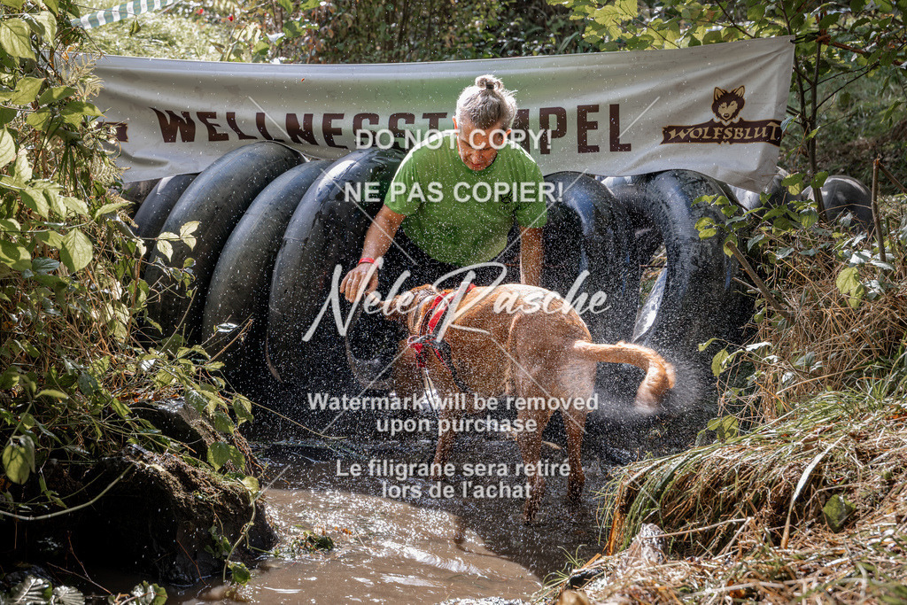 nelerasche_Hunsrück2026_Sa1400-1500_26 | nelerasche