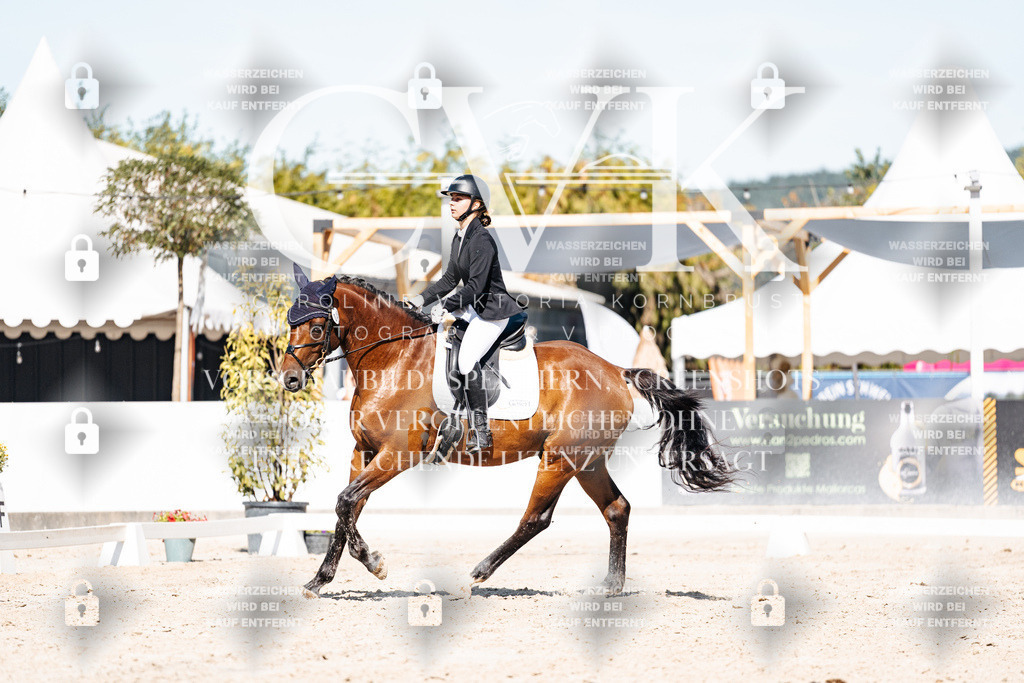CK908679 | Turnierfotografie Pferdefotografie Trier Rheinland-Pfalz Pferdesport Reitsport Tierfotografie Sportfotografie Pferdevideo Pferdevideografie Equestrianvideography equestrianphotography  - Realisiert mit Pictrs.com