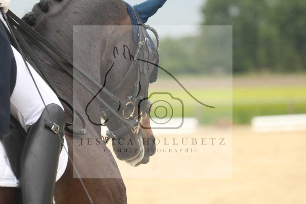 IMG_7886 | jessicahollubetz_pferdephotographie - Realisiert mit Pictrs.com