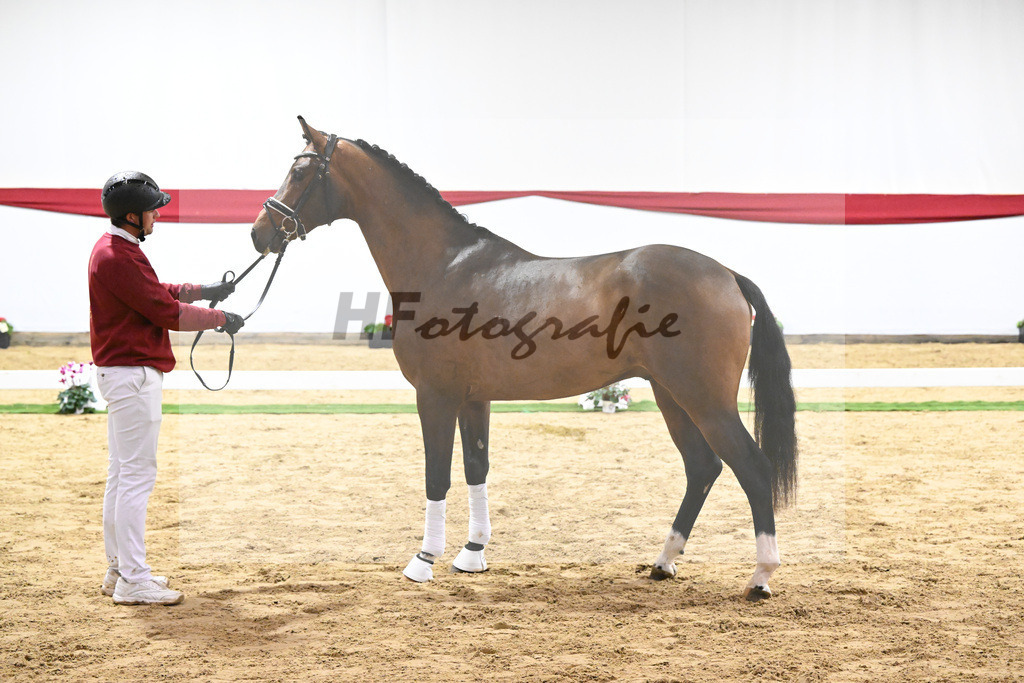 Kat-Nr. 60 v. Valverde_Schoenland_63221804 | hf-fotografie - Realizzato con Pictrs.com