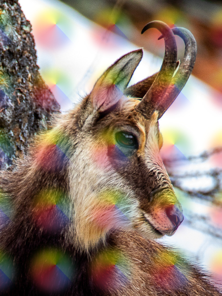 20230411-7J9A1478 | FineArtPrint, Hahnemühle, FeeGalerie, Fee Galerie, Fotokunst, Fotografie, Canonphotography, Bergfoto, Matterhorn, Rimpfischhorn, Allalinhorn, Saas-Fee, Wallis, Valais, Switzerland, Bergfotografie