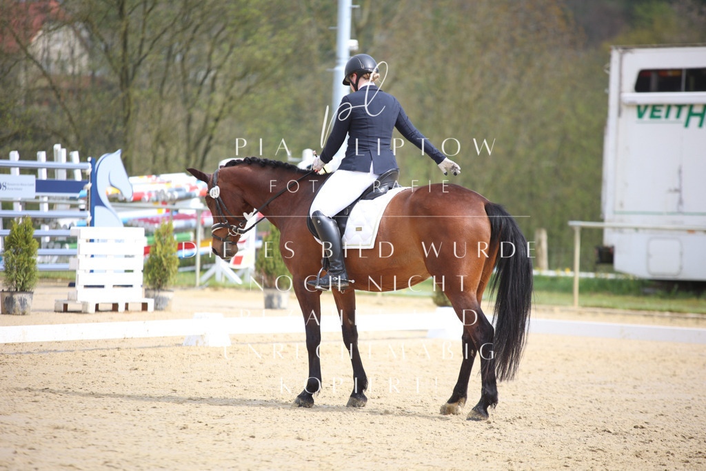 IMGT5346 | pl-fotografie