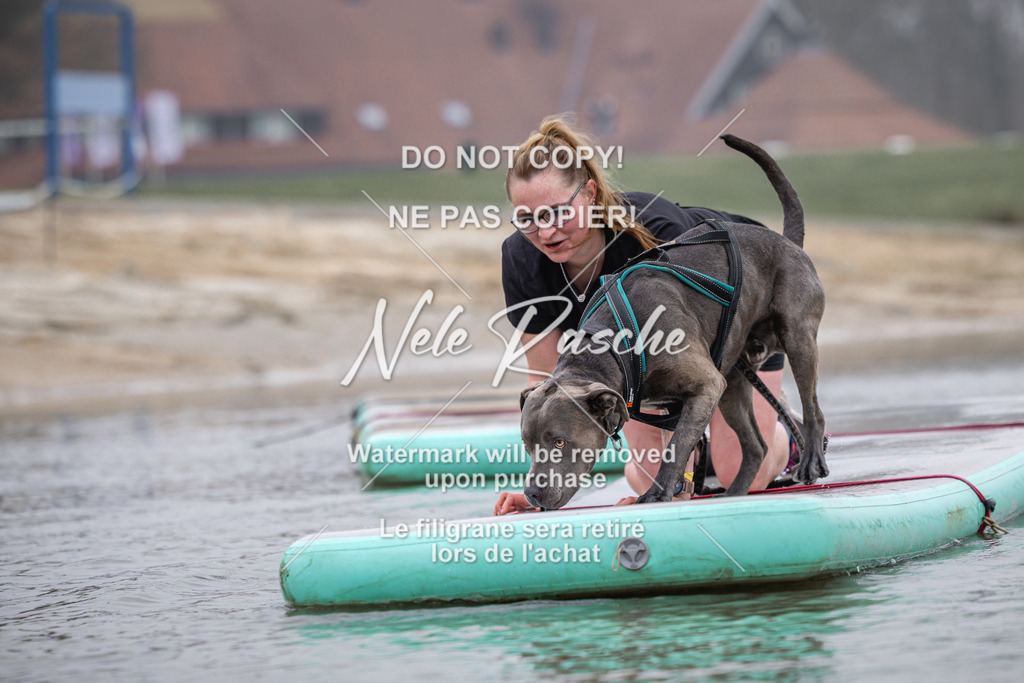 nelerasche_Hulsbeek_Sa0845-1030_301 | nelerasche
