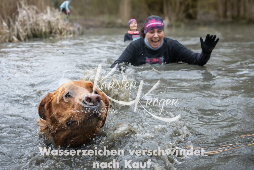 1001_ZZ95028 | kk-dogfotos