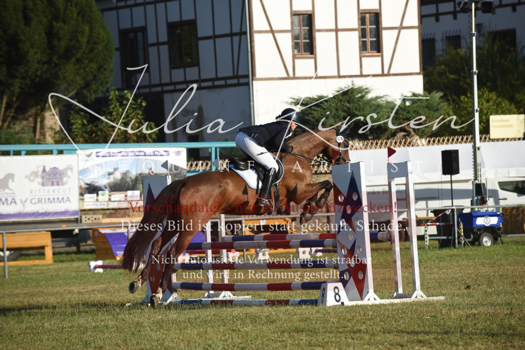 DSC_4892 | Pferde- und Turnierfotografie in Westsachsen. Pferdeportraits, Auftragszeichnungen und intuitive Kunst.
