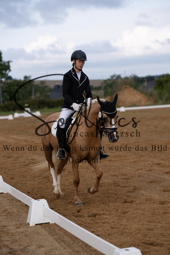 A7V03776 | Turnier/Reitfotograf