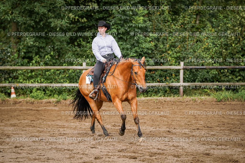 DSC09126 | Pferdegrafie