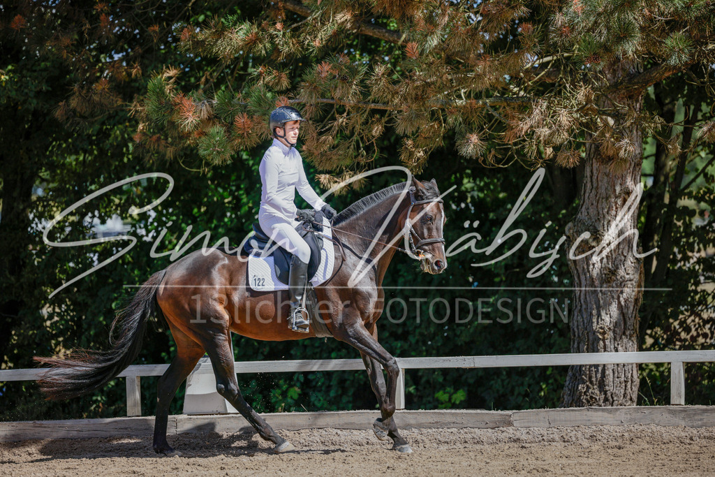 20250906-_3LI4493 | Tierfotografie Pferde, Hunde, Katzen, Haustiere.
Turnierfotografie Reitturniere, Reiten, Springreiten, Dressur in Hanau, dem Main-Kinzig-Kreis und dem Rhein-Main- Gebiet um Frankfurt