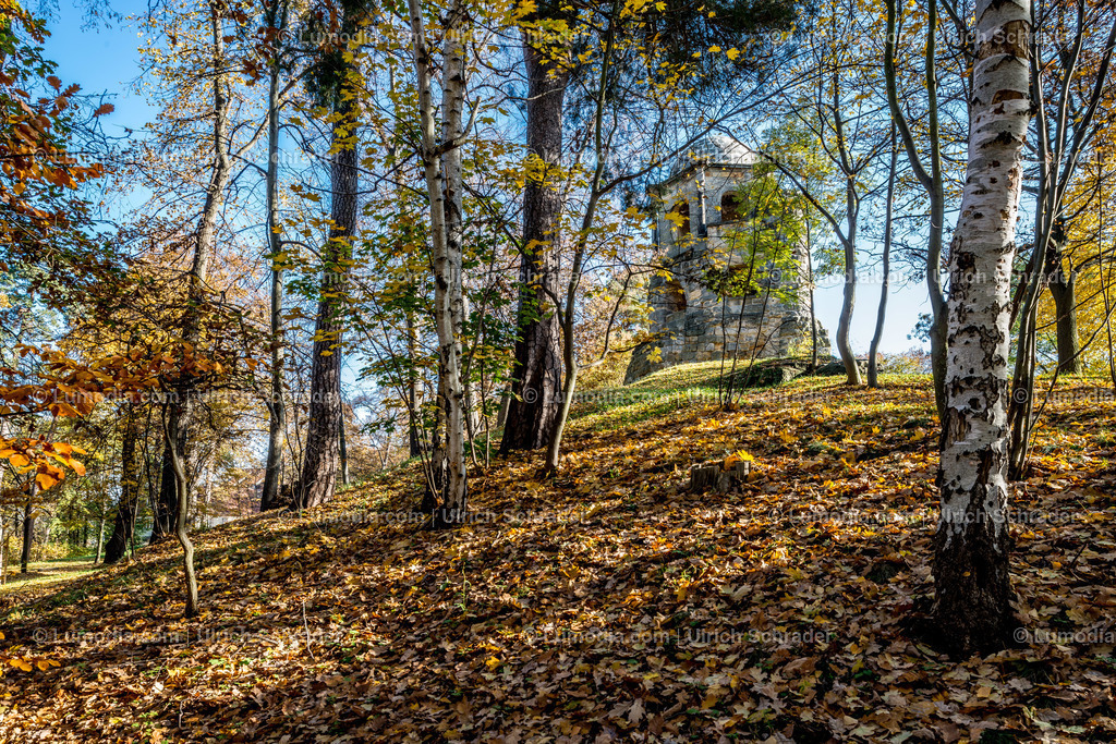 10049-4639 - Landschaftspark Spiegelsberge | Stockfoto und Bilderpool mit Bildmaterial aus Deutschland, dem Harz, Halberstadt, Quedlinburg, Wernigerode und weltweit. Qualitativ hochwertige und professionelle Fotos anschauen und kaufen. - Realisiert mit Pictrs.com