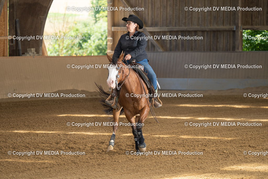 DSC00002 | dv-media-shop - Realisiert mit Pictrs.com