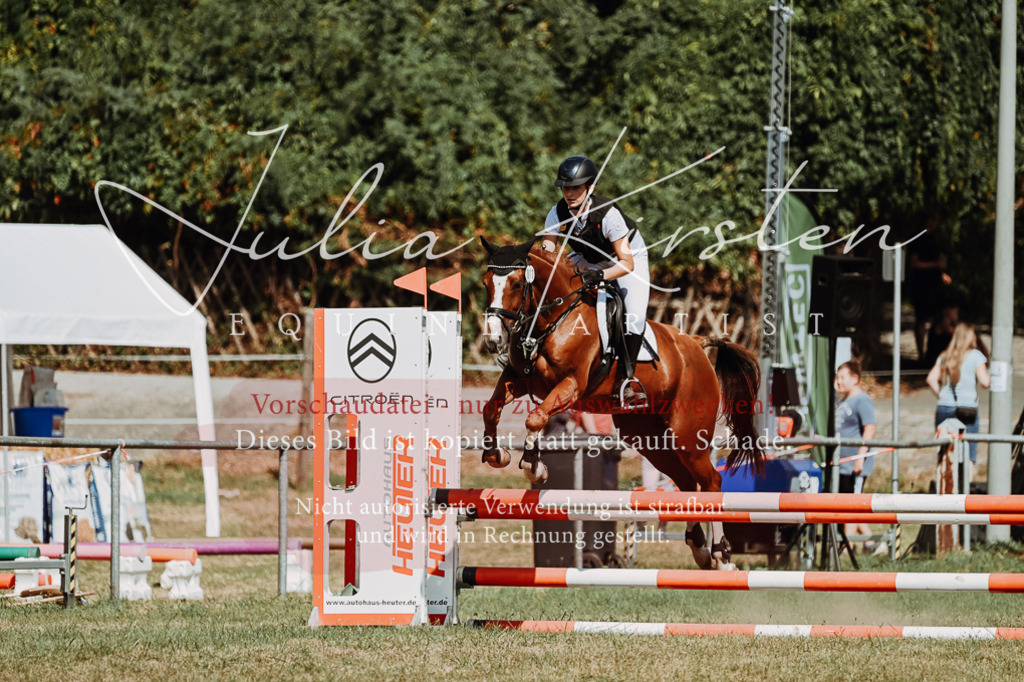 DSC_9940 | Pferde- und Turnierfotografie in Westsachsen. Pferdeportraits, Auftragszeichnungen und intuitive Kunst.