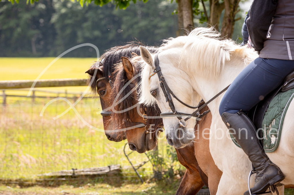 846A0932 | fotosleben - Realized with Pictrs.com