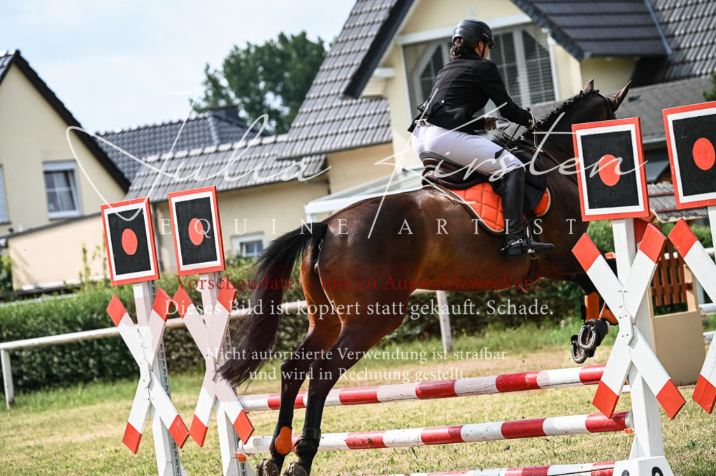 DSC_8290 | Pferde- und Turnierfotografie in Westsachsen. Pferdeportraits, Auftragszeichnungen und intuitive Kunst.