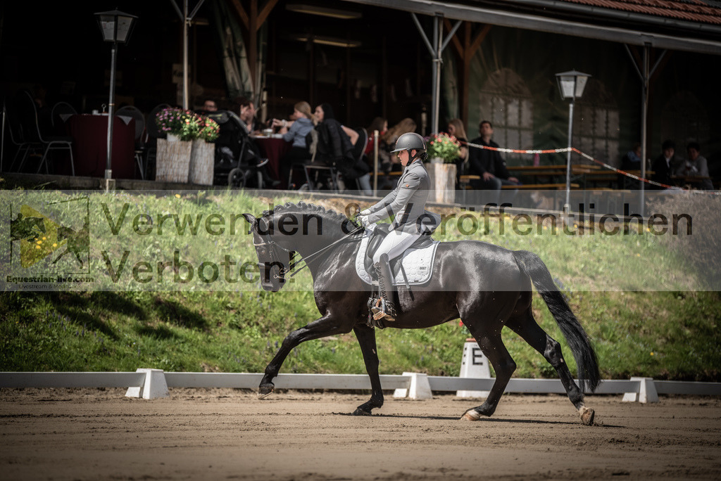 DSC_1392 | equestrian-live-com