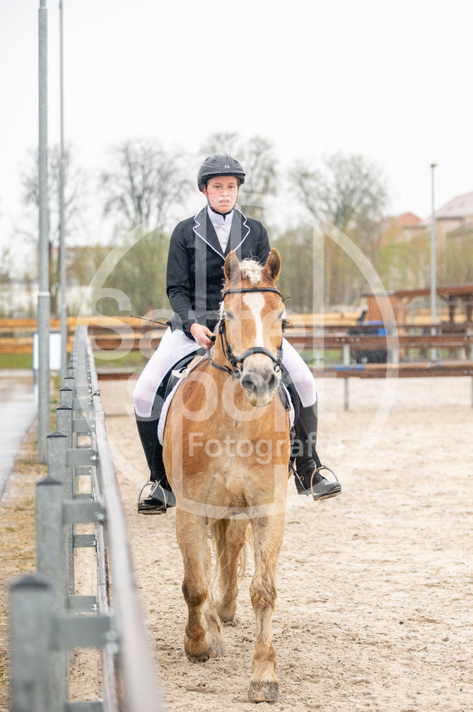 DSC_4168 | sattelsport - Realisiert mit Pictrs.com