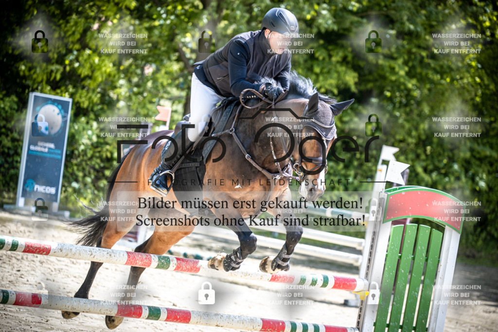 DOS_0381 | Reitturnier Lüdinghausen - Realisiert mit Pictrs.com