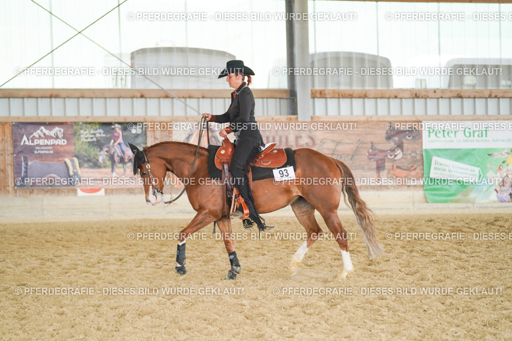 DSC02019 | Pferdegrafie