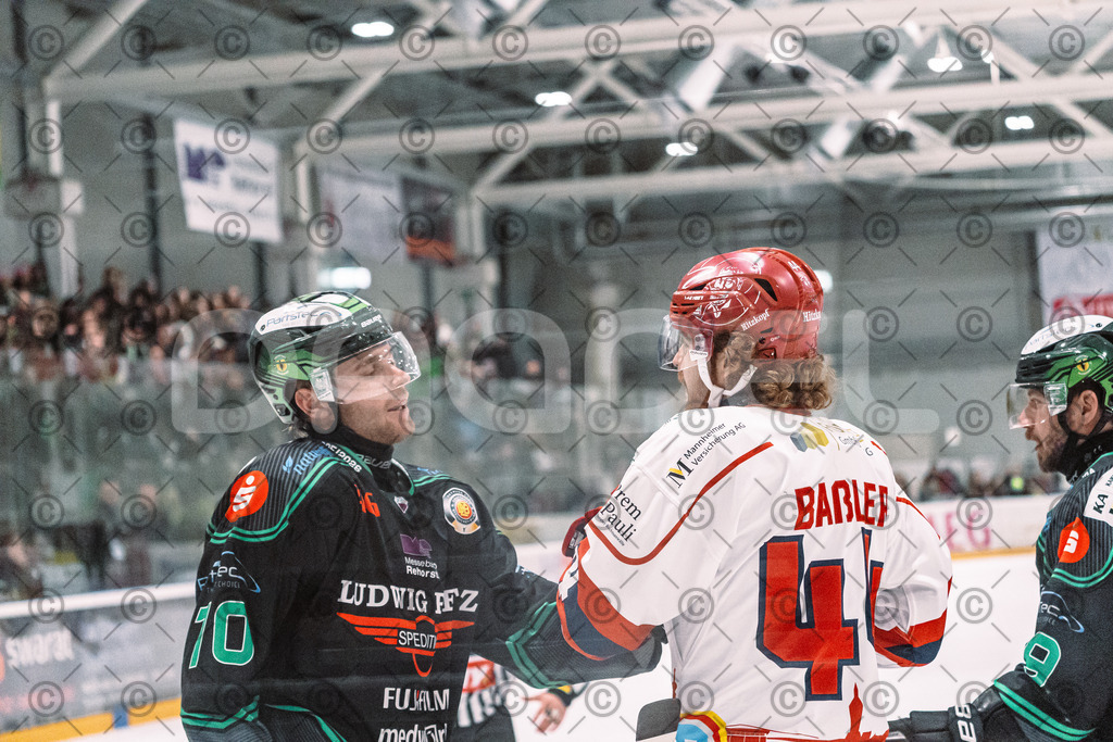 Alligators_vs_Deggendorf_23_01_2026-50 | Höchstadt Alligators Fotogalerie: Eishockey-Action aus Franken. Professionelle Spielfotos, Portraits & Stadionbilder zum Download. Jetzt entdecken! - Realisiert mit Pictrs.com