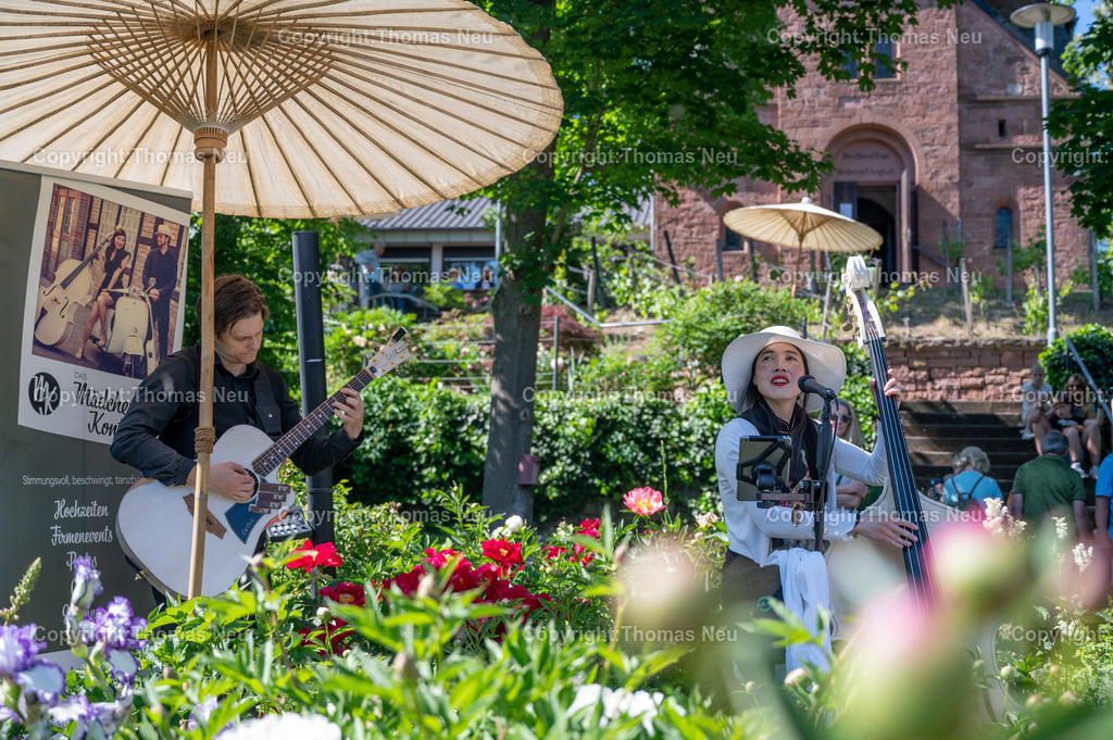 DSC_7538 | ble, 10.05.2025, Frühlingsmarkt Lorsch, Pfingstrosengarten, Mimi das Mädchen mit dem Kontrabass, ,, Bild: Thomas Neu