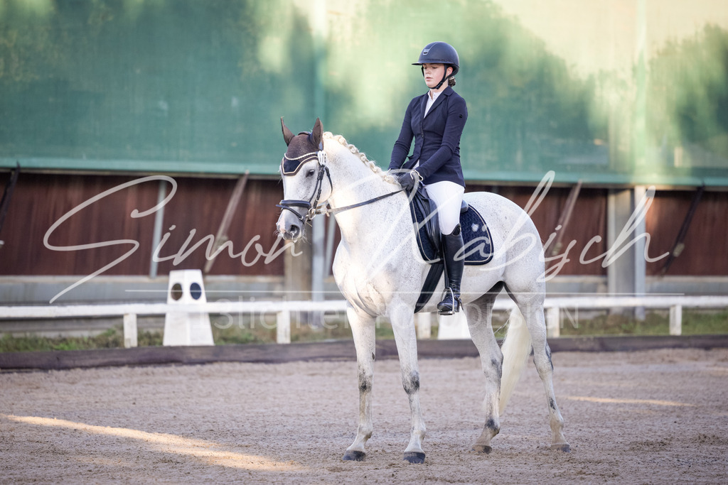 20250906-_3LI2569 | Tierfotografie Pferde, Hunde, Katzen, Haustiere.
Turnierfotografie Reitturniere, Reiten, Springreiten, Dressur in Hanau, dem Main-Kinzig-Kreis und dem Rhein-Main- Gebiet um Frankfurt