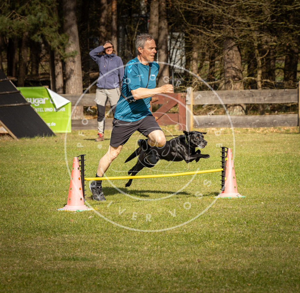 Pfotenfotografie_DV3A1513 | Hundefotografie, Tierfotograf, Pfotenfotografie, Fotoshooting Hund, Hunde Portrait, Hundesport, Hundeportraits, Heideshooting, Hunde, Sportfotograf, Hundefotograf, Turnierhundsport, THS,  - Realisiert mit Pictrs.com