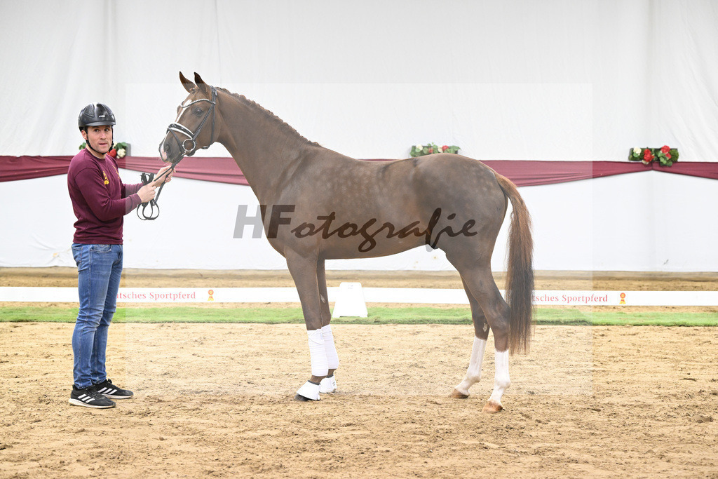 Kat-Nr. 138 Flashbang x Benetton Dream_Christian Gaeher_47251432 | hf-fotografie - Realisiert mit Pictrs.com