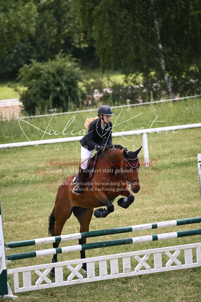 DSC_9440 | Pferde- und Turnierfotografie in Westsachsen. Pferdeportraits, Auftragszeichnungen und intuitive Kunst.